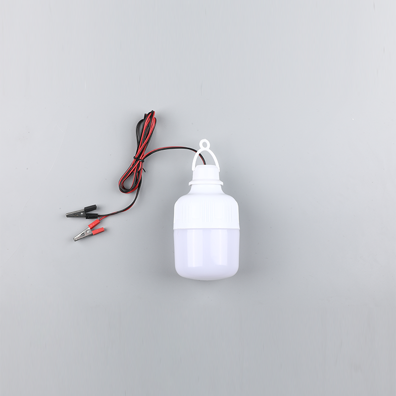 Bec led-dc12v 24v