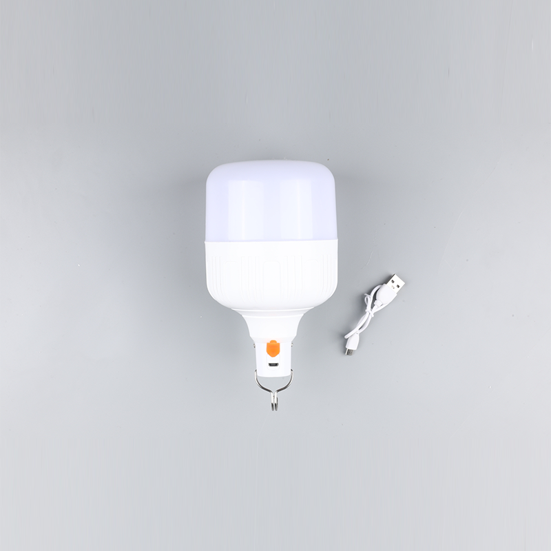 Bec led-DC 12v 24v